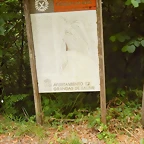 DSCN1359