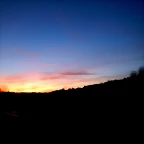 DSCN2953