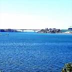 DSCN6591
