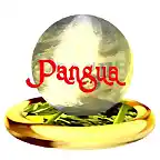 pangua3