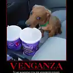 venganza