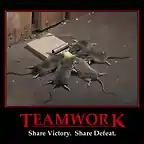 teamwork