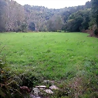 DSCN5287