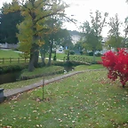 DSCN6221