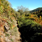 DSCN8045