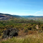 DSCN0973