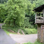 DSCN4771