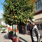 DSCN2493