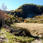DSCN8025
