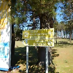 DSCN0117