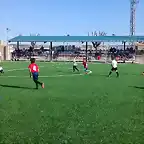 BASESEDMMULA25-1