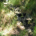 DSCN2844