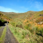 DSCN1336