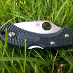 spyderco dragonfly 2 ZDP