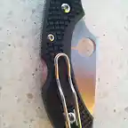 spyderco dragonfly 2 ZDP