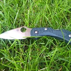 spyderco dragonfly 2 ZDP