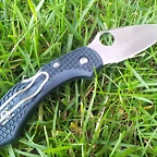 spyderco dragonfly 2 ZDP