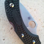 spyderco dragonfly 2 ZDP