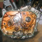 DSCN0183