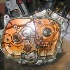 DSCN0183-1
