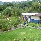 Monte Verde, Puntarenas, Costa Rica04