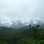 Monte Verde, Puntarenas, Costa Rica26