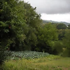 DSCN4730