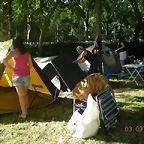 EL CUERVO 2011 058