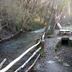 DSCN6741