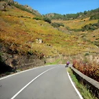 DSCN4721