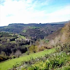DSCN3978