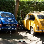 CAS_3531