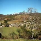 DSCN2941