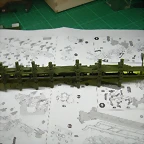 DSCN2104