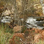 DSCN9386