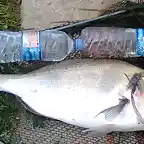 Mide dos botellas de agua