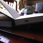 2010_12300069