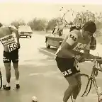 PESARRODONA  CAIDA,VUELTA 1974,VANNOCCHI.