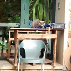 DSCN4906