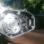 znela 46