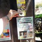 DSCN8390