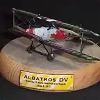 Albatros DV (49)