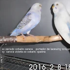 CIMG1697