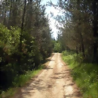DSCN5313