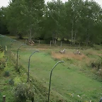 Le Parc des Felins agost 2010 933