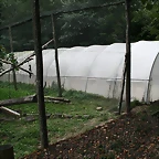 Le Parc des Felins agost 2010 891