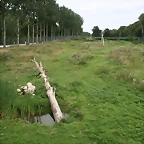 Le Parc des Felins agost 2010 928