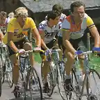 TOUR DE 1984 HINAULT-P JIMENEZ (2)