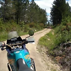 DSCN5332
