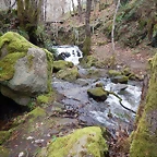 DSCN0126